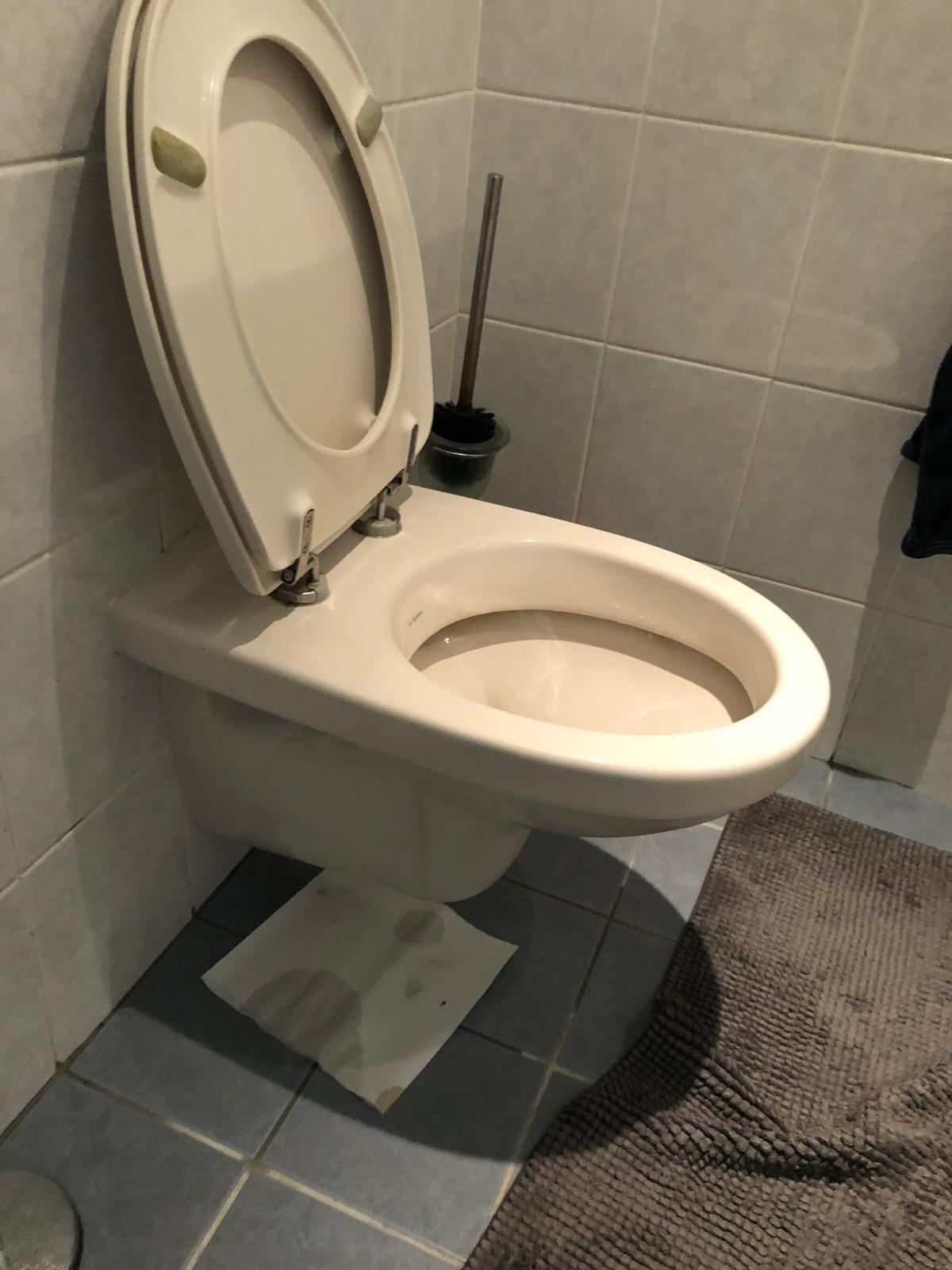 hangtoilet Montfoort